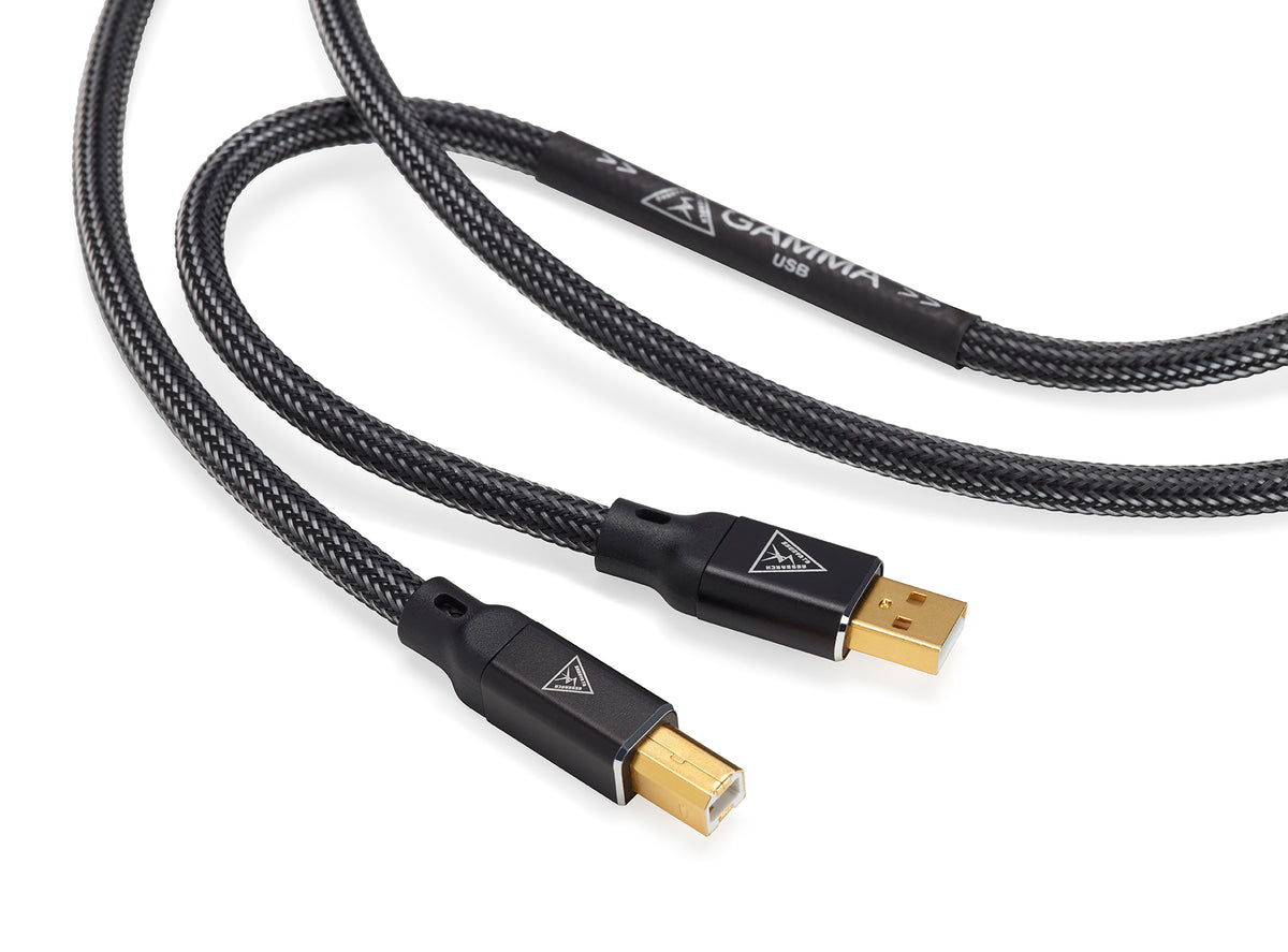 Shunyata Gamma USB Cable