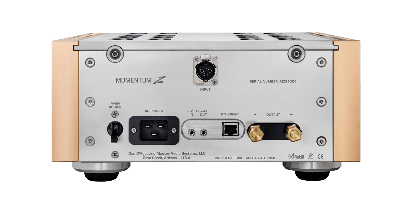 Dan D'Agostino Momentum Z Monoblock Amplifier