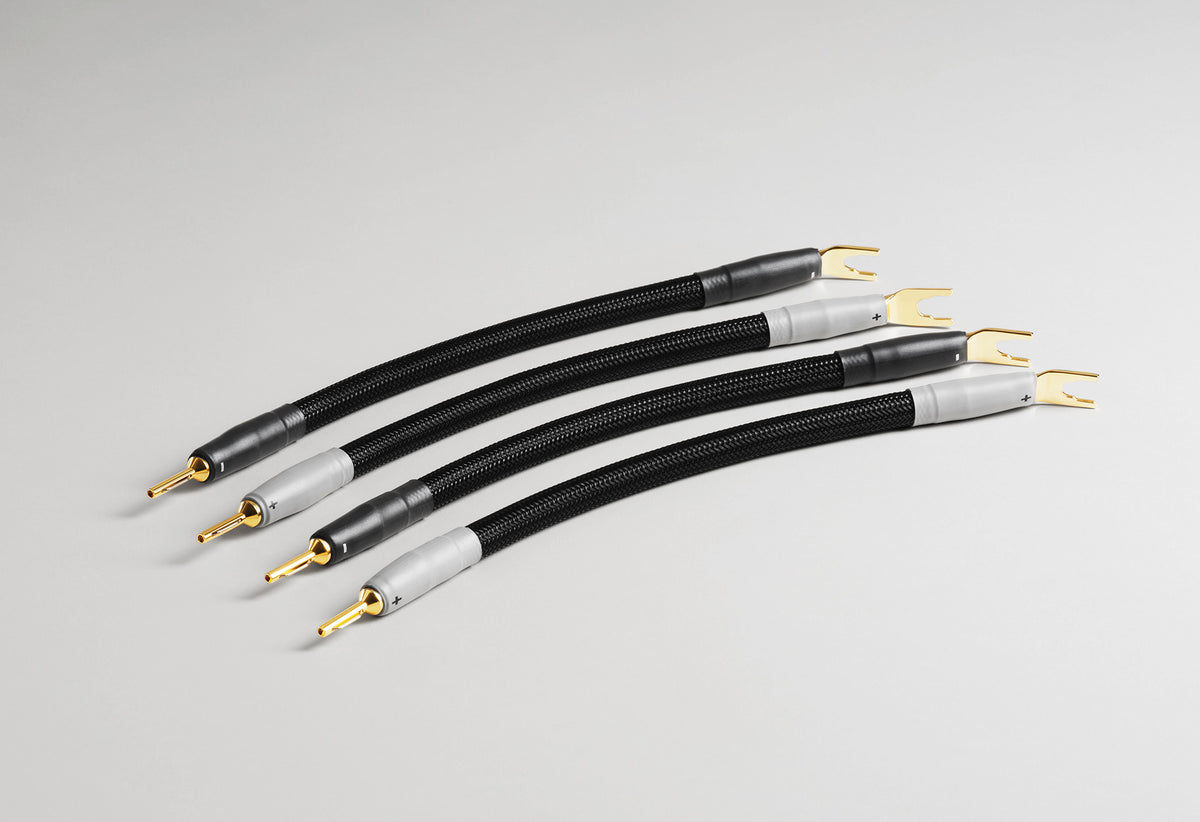 Shunyata Sigma-X Speaker Cable