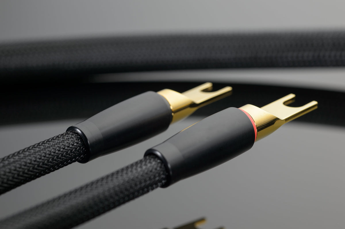 Transparent XL Speaker Cable