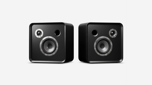Eversolo SE100 Bookshelf Loudspeaker