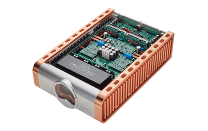 Dan D'Agostino Momentum Z Monoblock Amplifier