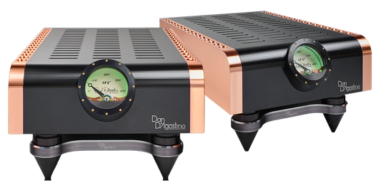 Dan D'Agostino Momentum M400 MxV Monoblock Amplifier