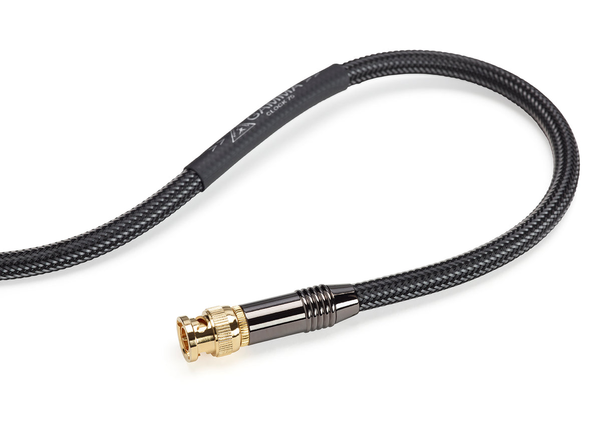 Shunyata Gamma Digital Cable