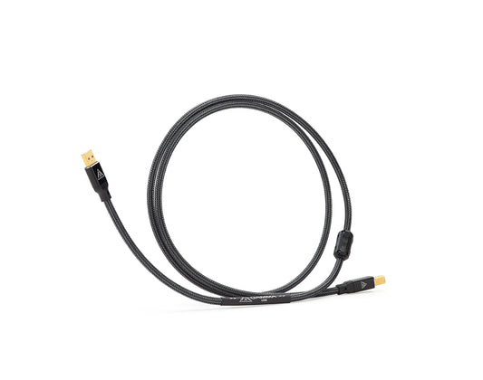 Shunyata Gamma USB Cable