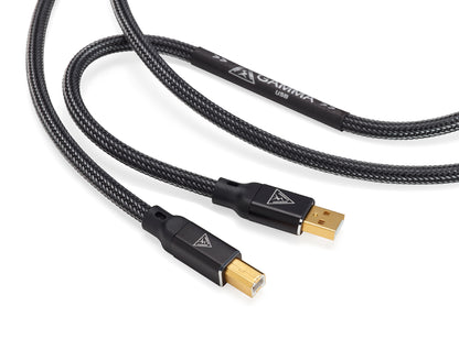 Shunyata Gamma USB Cable