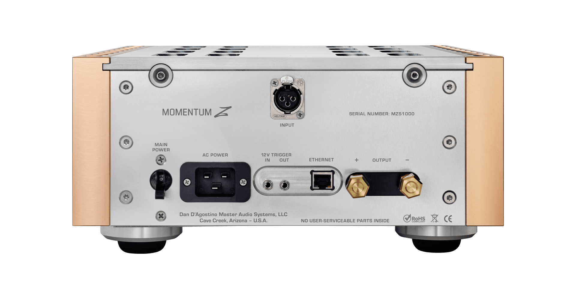 Dan D'Agostino Momentum Z Monoblock Amplifier