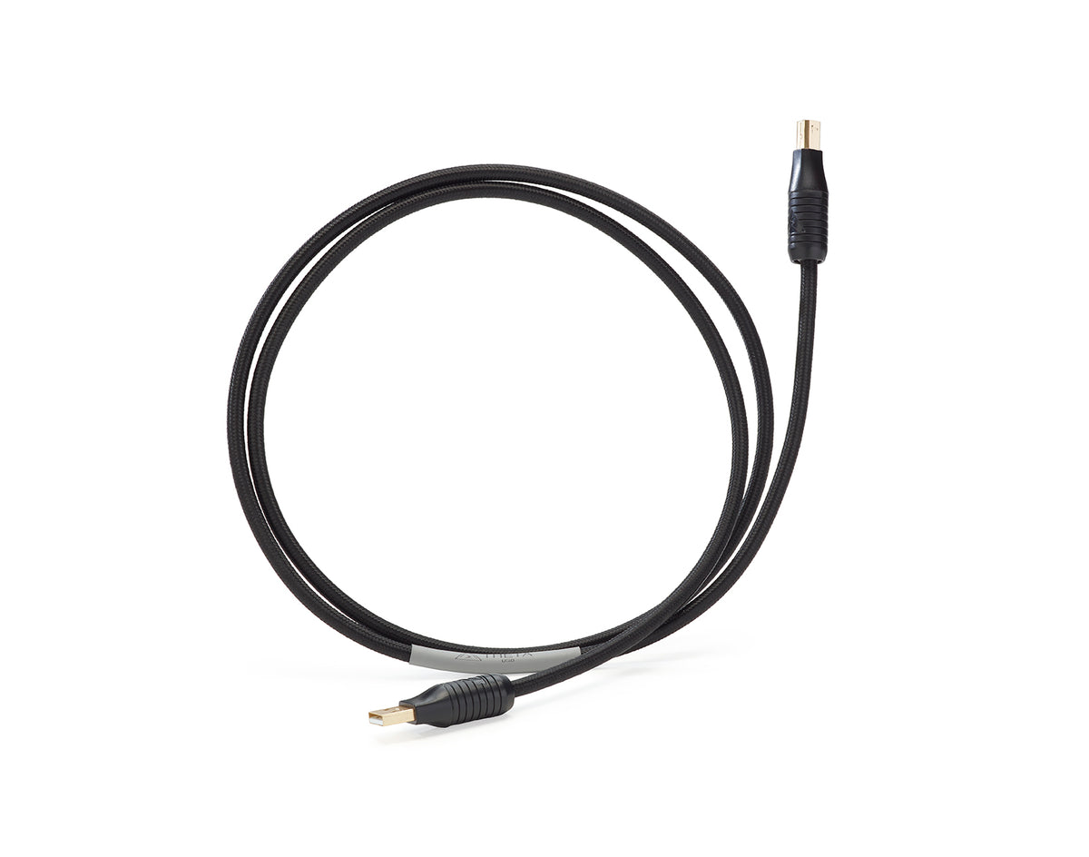 Shunyata Theta USB Cable