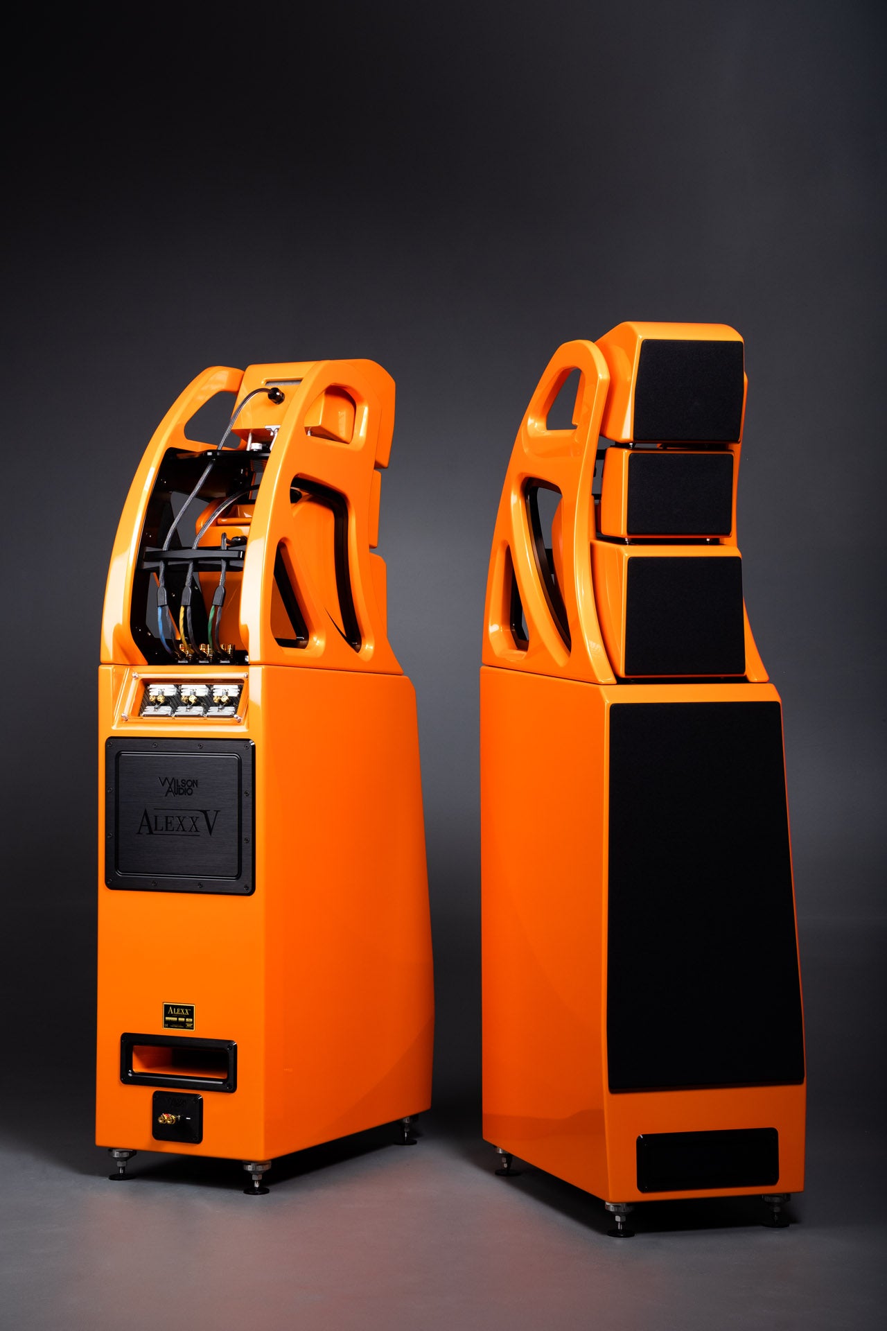 Wilson Audio Alexx V Loudspeaker