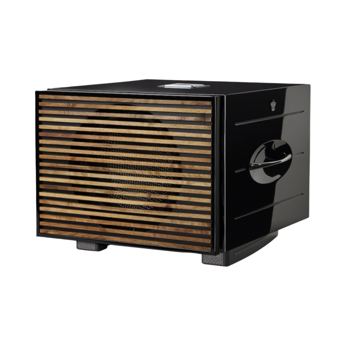 REL Carbon Special Black Label Subwoofer