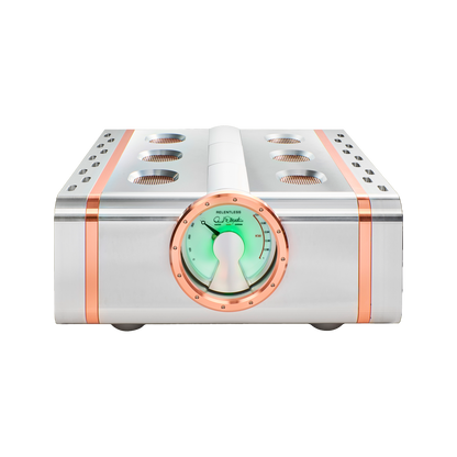 Dan D'Agostino Relentless 800 Monoblock Amplifier