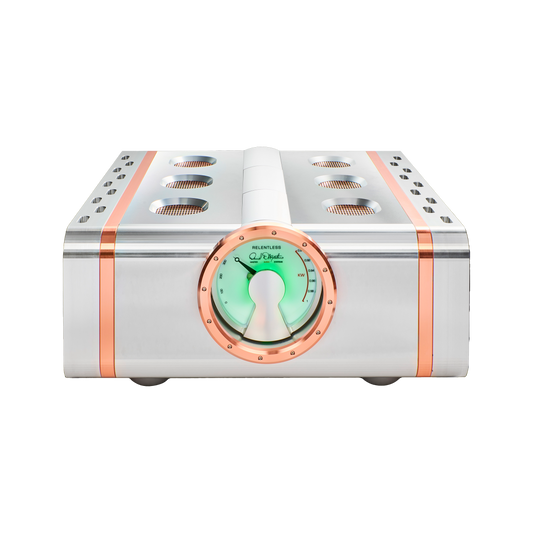 Dan D'Agostino Relentless 800 Monoblock Amplifier