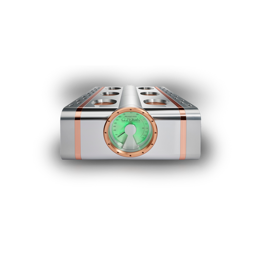 Dan D'Agostino Relentless Epic 1600 Monoblock Amplifier