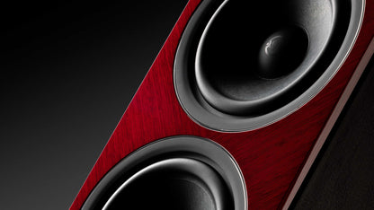 Sonus faber Lumina V Amator Floorstanding Loudspeaker