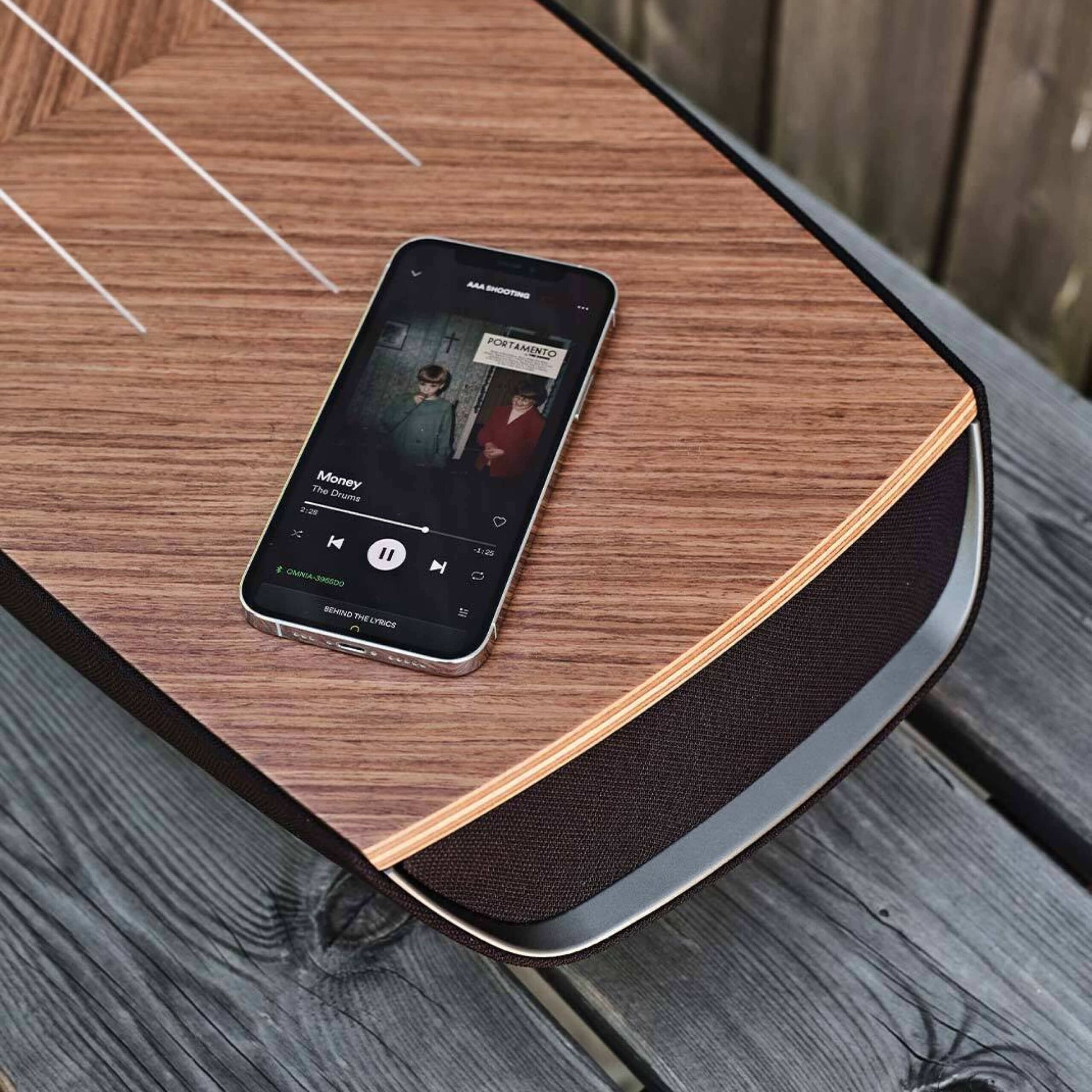 Sonus faber Omnia Wireless Speaker System