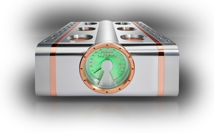 Dan D'Agostino Relentless Epic 1600 Monoblock Amplifier