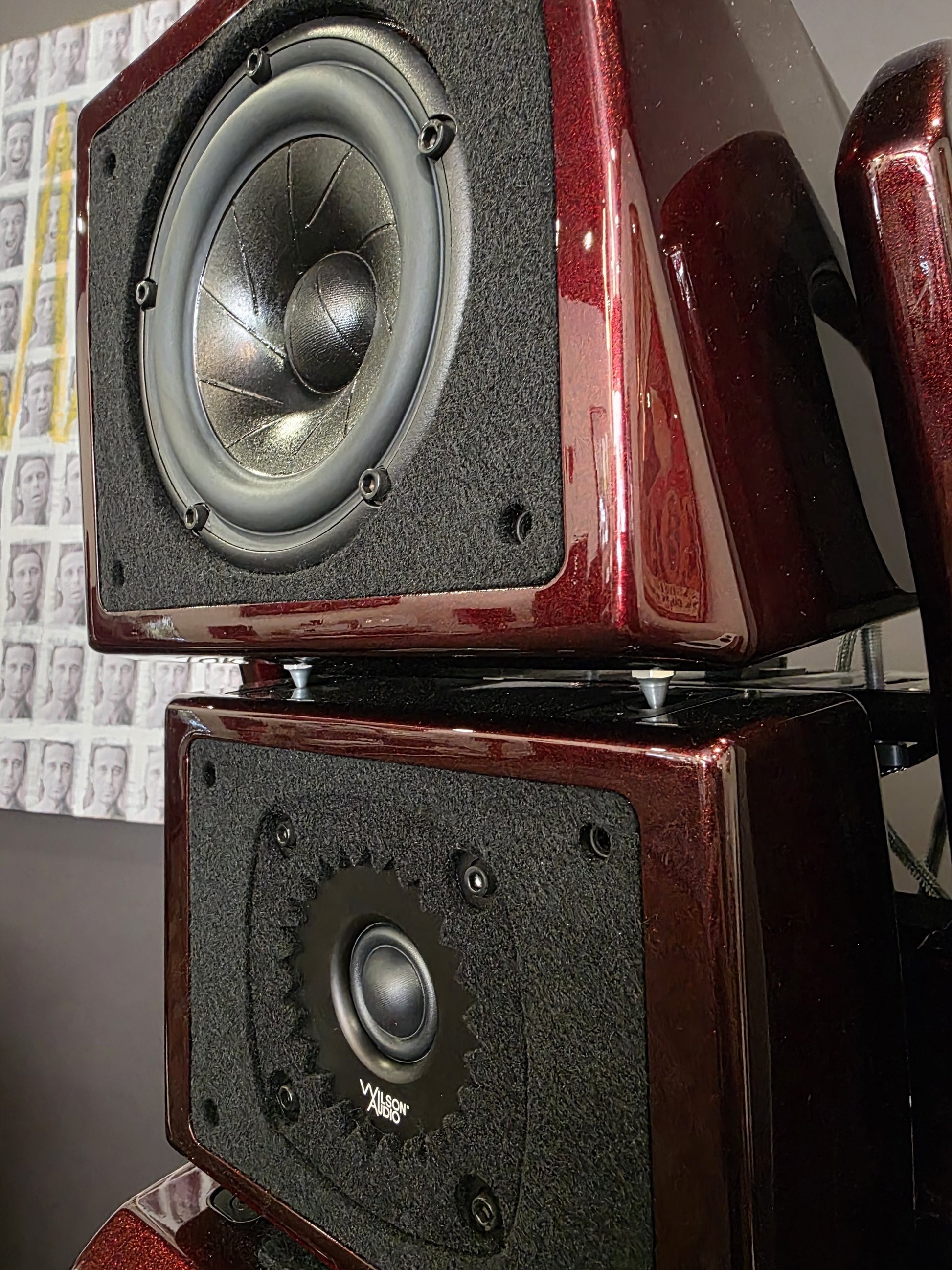 Wilson Audio Alexx V Loudspeaker