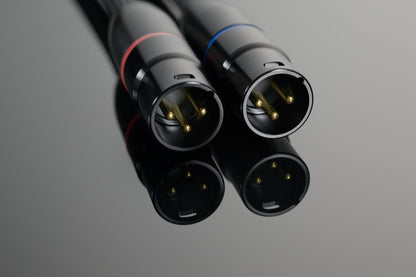 Transparent Reference Balanced Interconnect