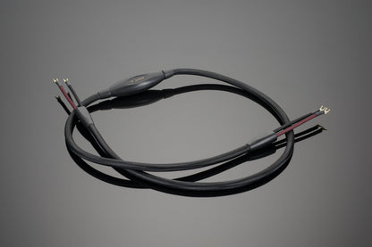 Transparent Super Speaker Cable
