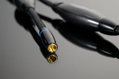 Transparent XL RCA Interconnect