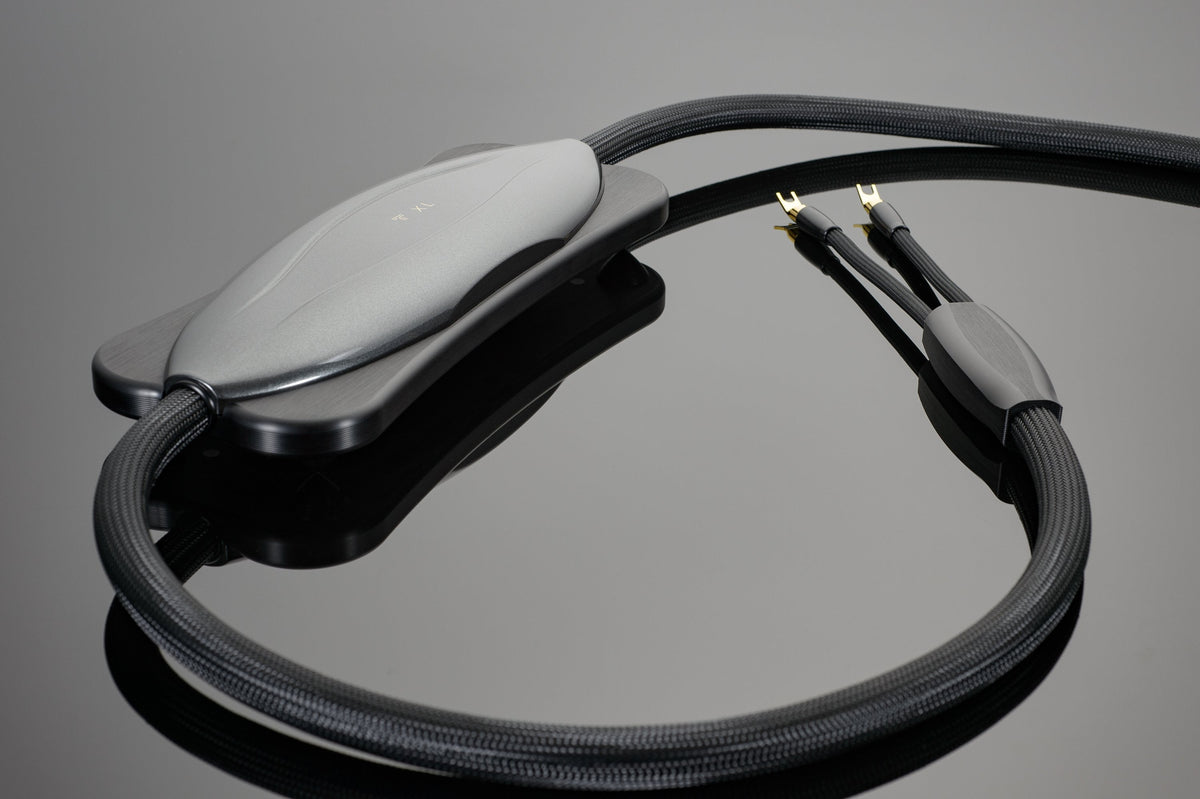 Transparent XL Speaker Cable