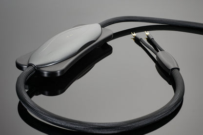 Transparent XL Speaker Cable