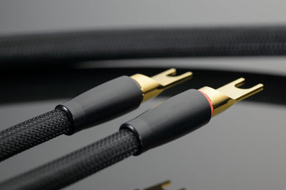 Transparent XL Speaker Cable