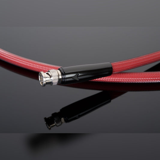 Transparent Reference 75-Ohm Digital Link