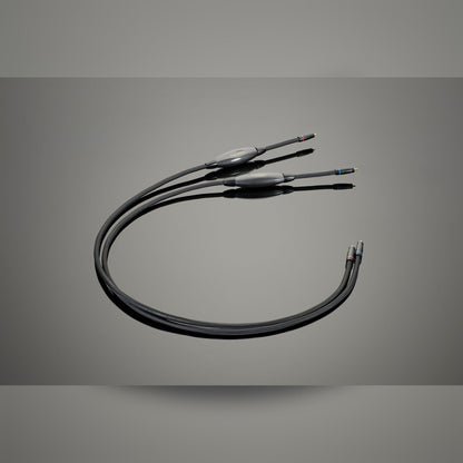 Transparent XL Phono Interconnect