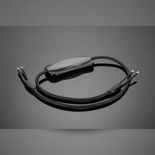 Transparent XL Speaker Cable