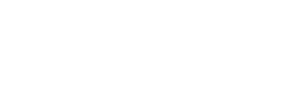 Dr. Feickert Analogue