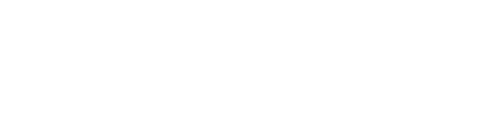 Ø Audio