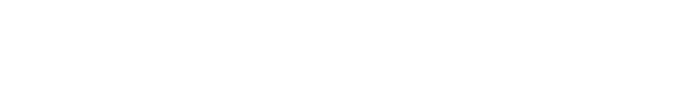 Eversolo